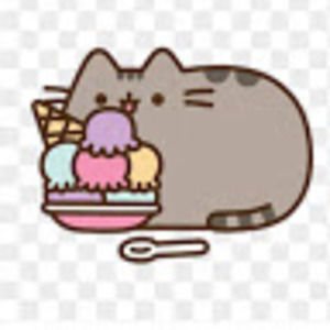 Meet your Posher, Devyn